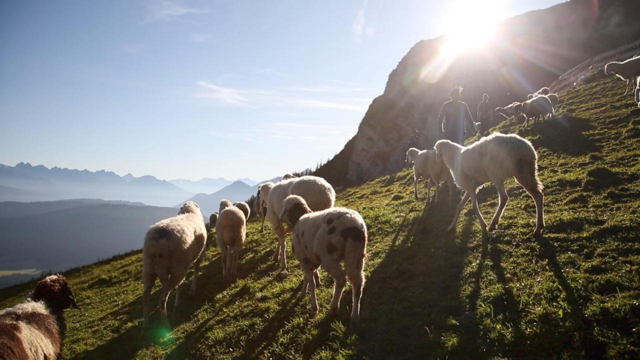 Alpen Quartier Lejlighed Uderns Eksteriør billede